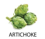 artichoke