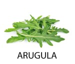 arugula