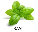 basil
