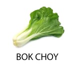 bok choy