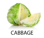 cabbage